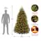 7ft. Pre-Lit Dunhill® Fir Full Artificial Christmas Tree, Clear Lights